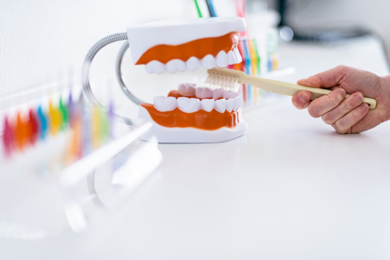 Zahnarztpraxis A. Exner am Geiseltalsee – Impressionen